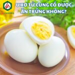 U xơ tử cung có được ăn trứng không?