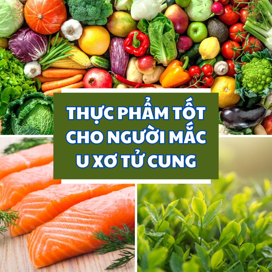 Thực phẩm tốt cho người mắc u xơ tử cung 